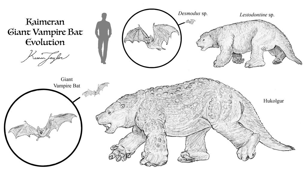 Kaimeran GIant Vampire Bat Evolution by IllustratedMenagerie on DeviantArt