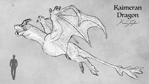 Kaimeran Dragon