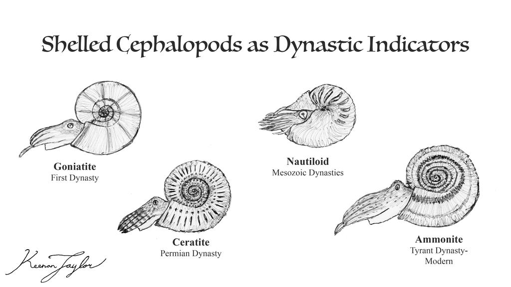 Shelled Cephalopods as Dynastic Indicators by IllustratedMenagerie on ...