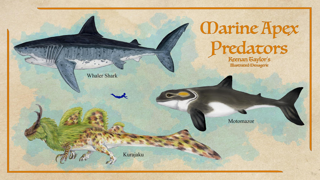 Marine Apex Predators by IllustratedMenagerie on DeviantArt