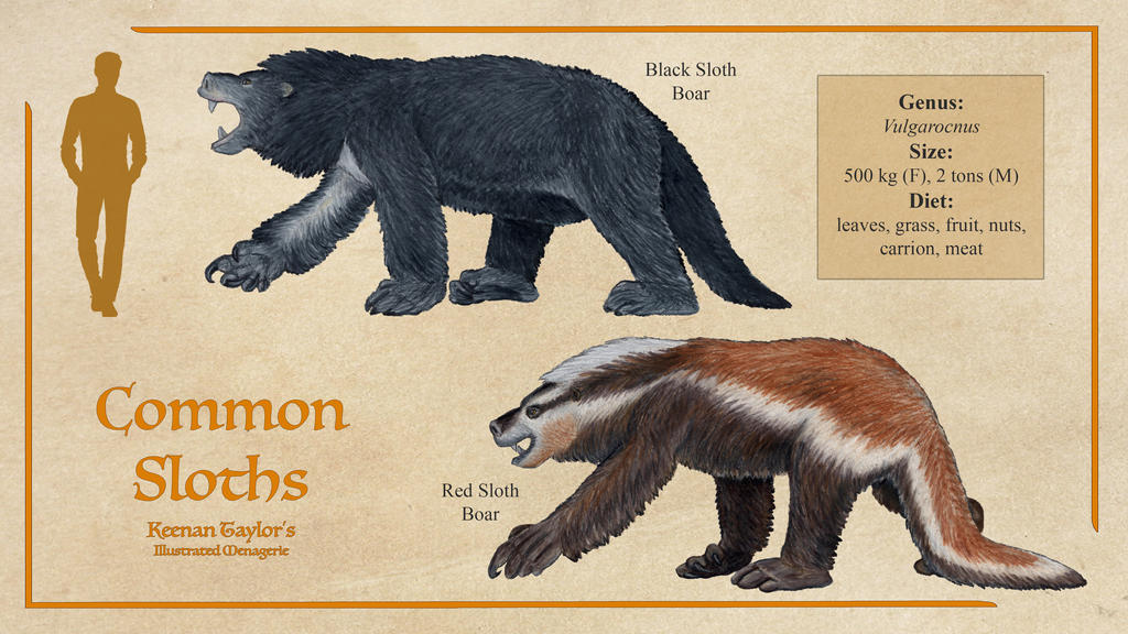 Common Sloths by IllustratedMenagerie on DeviantArt