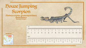 Houze Jumping Scorpion