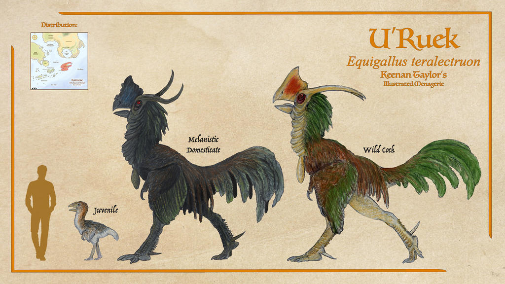 U'Ruek by IllustratedMenagerie on DeviantArt