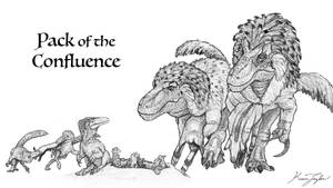Pack of the Confluence