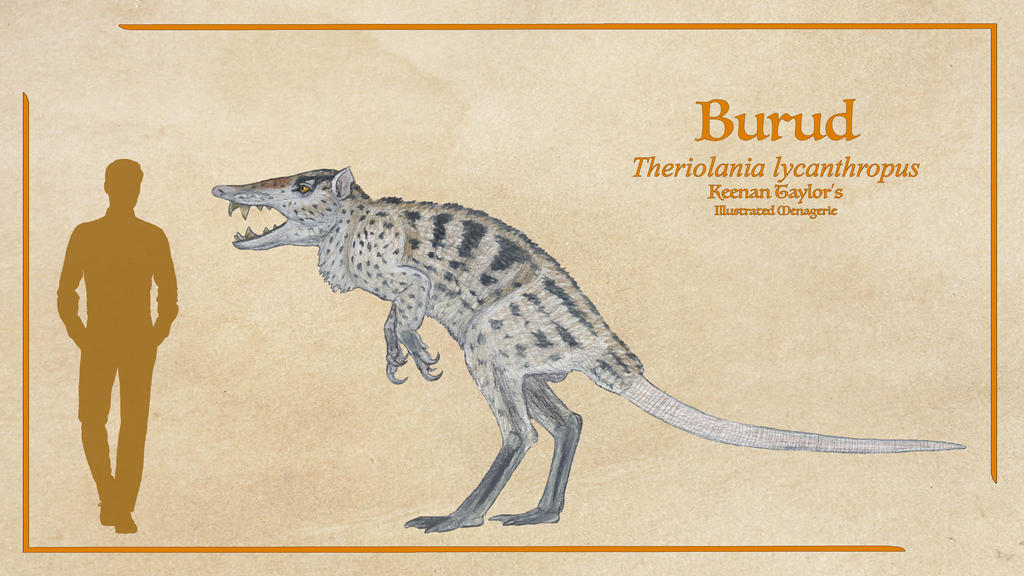 Burud by IllustratedMenagerie on DeviantArt