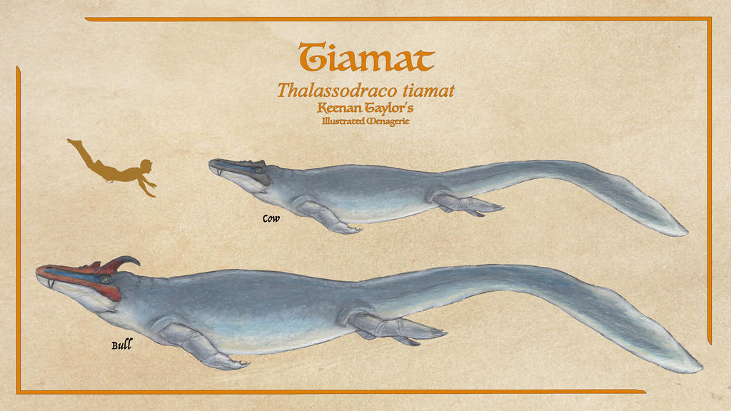 Timut Creature Tiamat by IllustratedMenagerie on DeviantArt