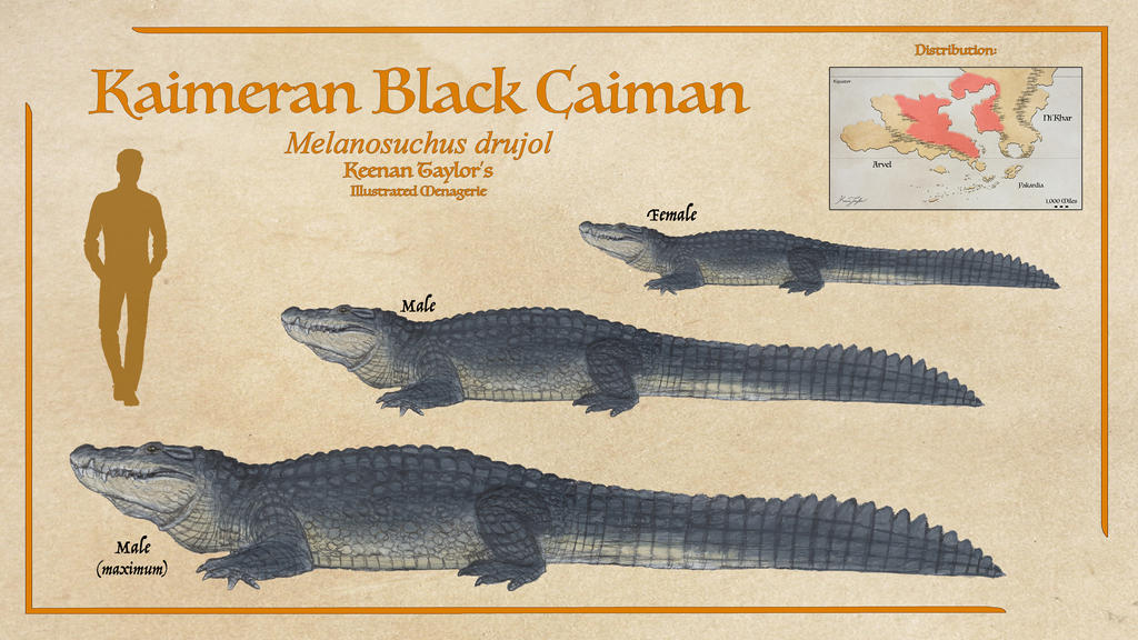 Kaimeran Black Caiman by IllustratedMenagerie on DeviantArt