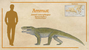 Ammut