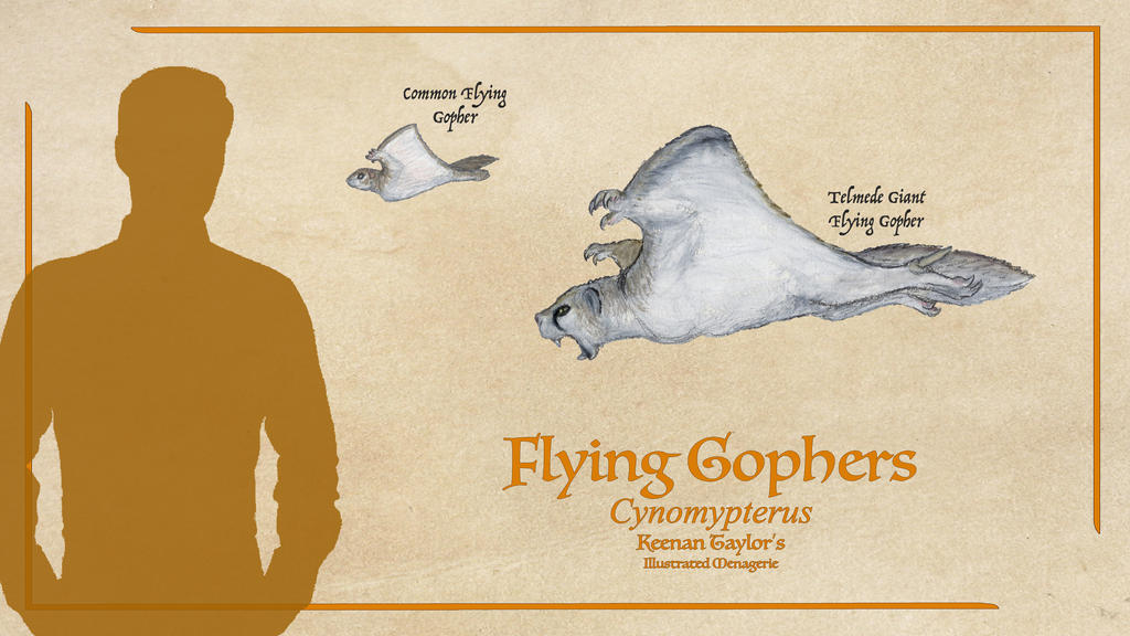 Flying Gopher by IllustratedMenagerie on DeviantArt
