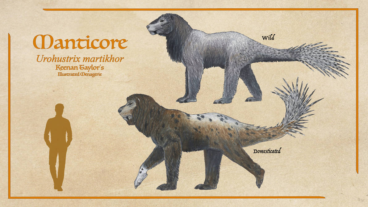 Mantacor Razorback Manticore by IllustratedMenagerie on DeviantArt