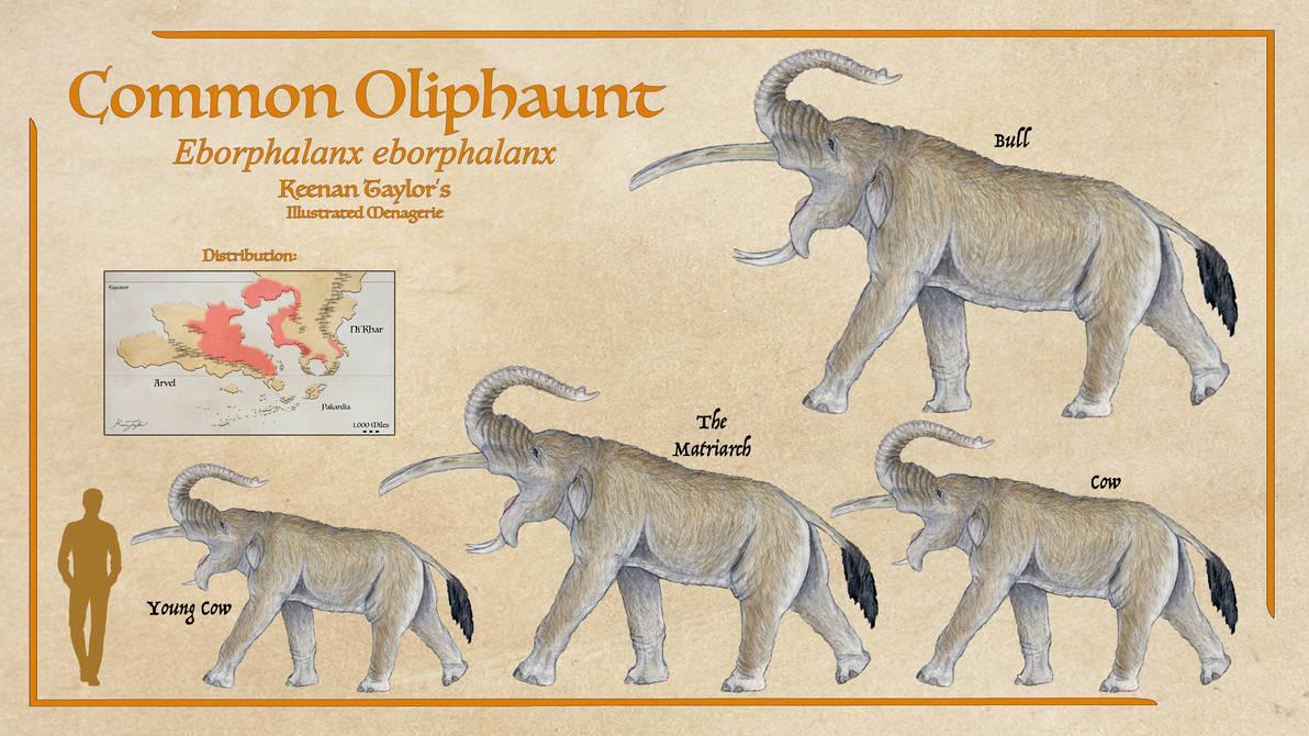 Common Oliphaunt by IllustratedMenagerie on DeviantArt