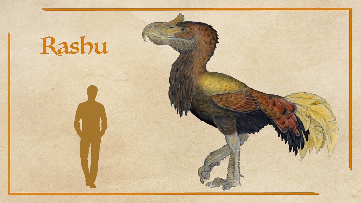 Rashü Rashu by IllustratedMenagerie on DeviantArt