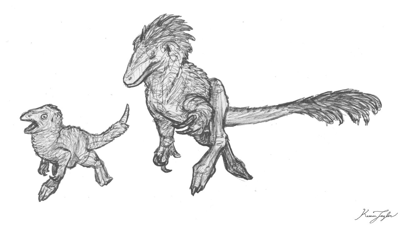 Elasmarian Chase by IllustratedMenagerie on DeviantArt