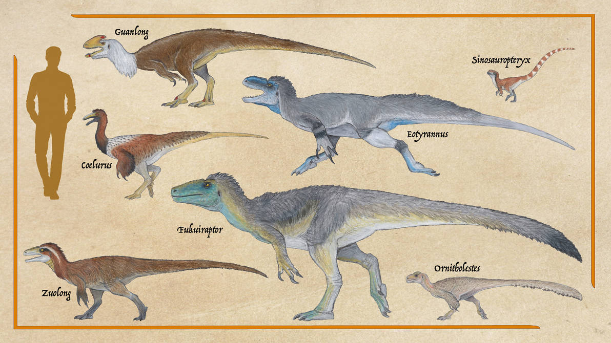 Coelurus Deviantart Selection of Coelurosaurs by IllustratedMenagerie on DeviantArt