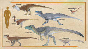 Selection of Coelurosaurs