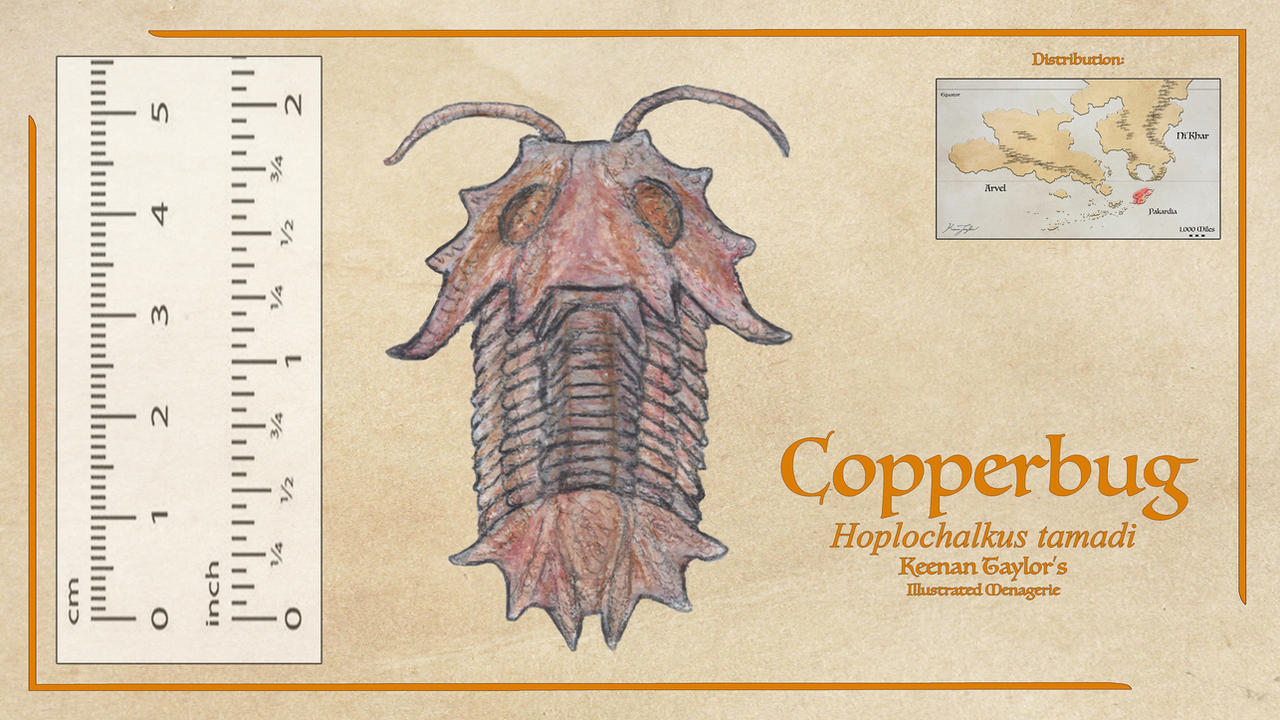 Copperbug by IllustratedMenagerie on DeviantArt