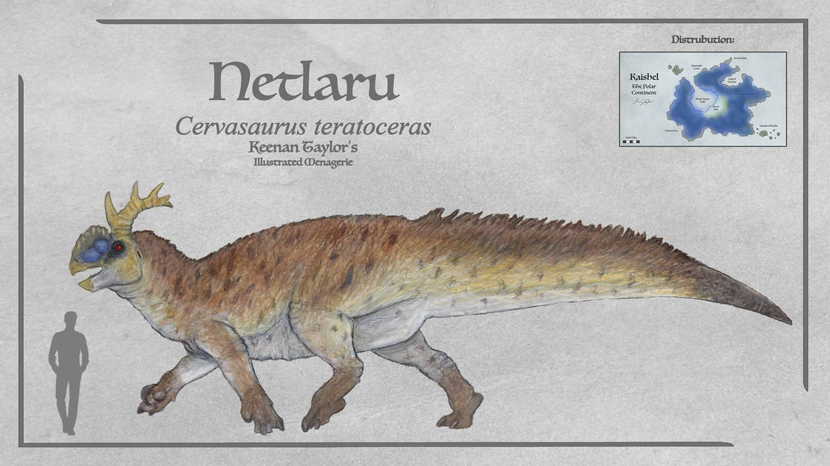 Netlaru by IllustratedMenagerie on DeviantArt