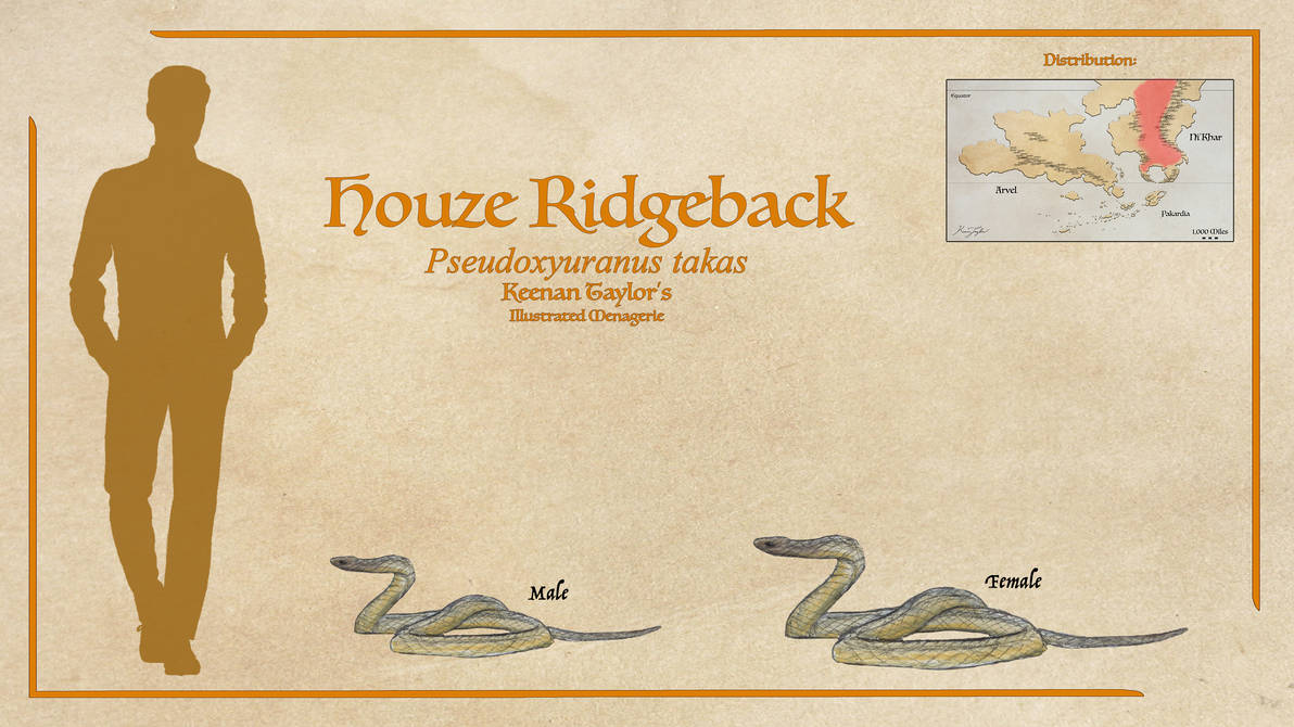 Avatar For Ridgeback Houze Ridgeback by IllustratedMenagerie on DeviantArt