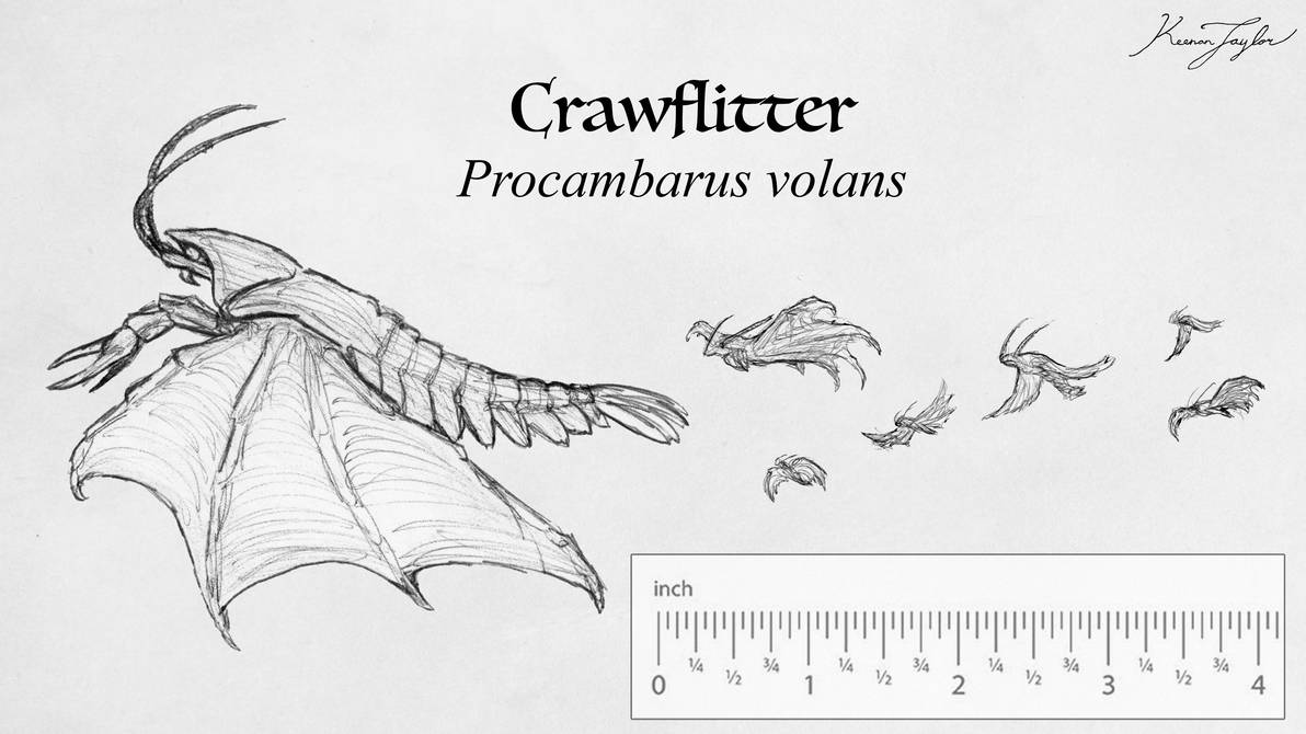 Craw Scale Pattern Crawflitter Scale by IllustratedMenagerie on DeviantArt