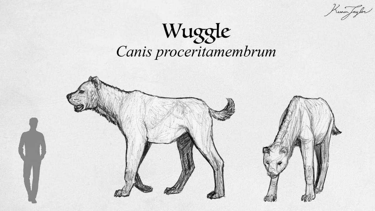 Wuggle Wuggle by IllustratedMenagerie on DeviantArt