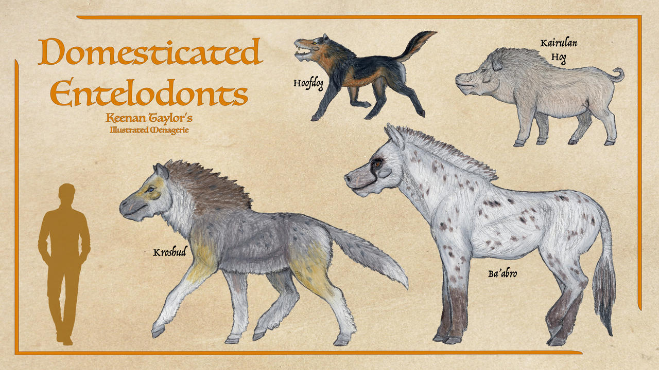 Entod Animal Domesticated Entelodonts by IllustratedMenagerie on DeviantArt