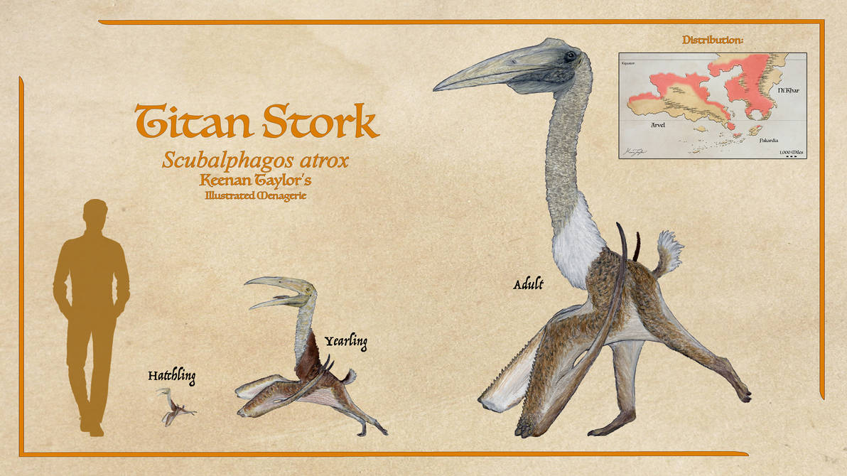 Bionic Stork Titan Stork by IllustratedMenagerie on DeviantArt