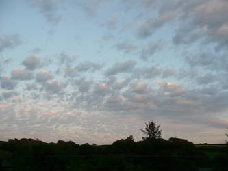 Evening Clouds