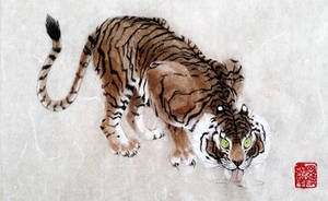 Tora