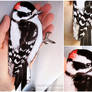 downy woodpecker