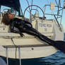 Mermaid stretches on the stern of Tere Roa III