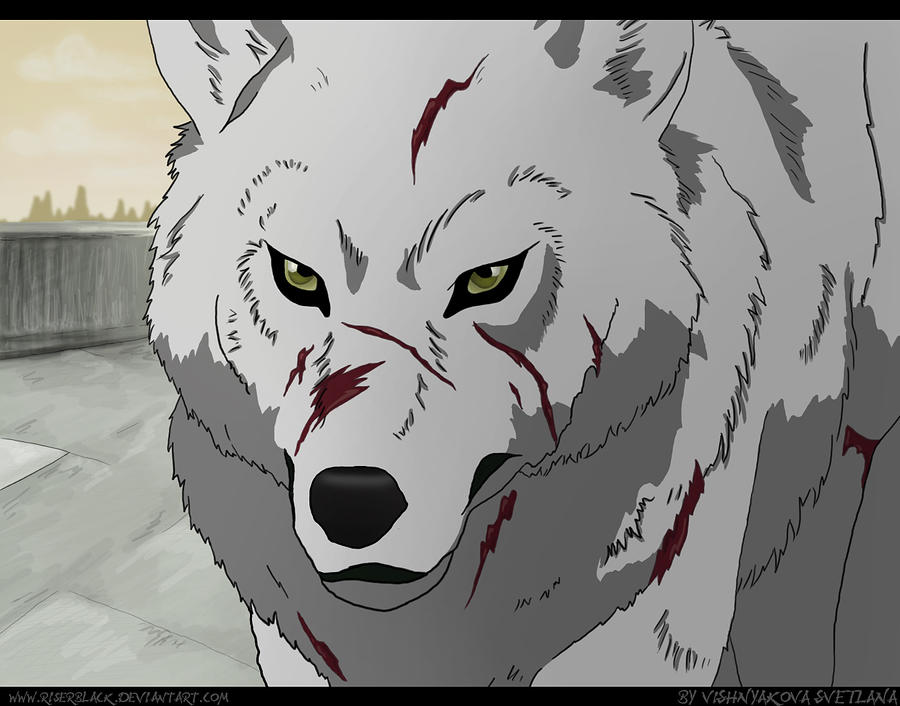 Fearless Kiba