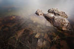 A Rock at Cutthroat Lake by uberfoto