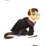My Little Harry Potter