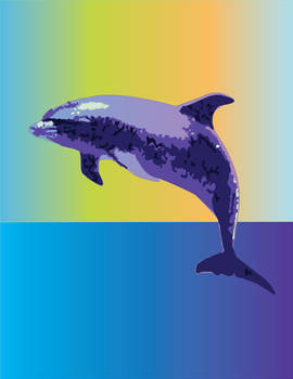 Dolphin