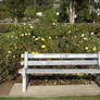 Rose garden bench