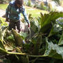 Boy and plant