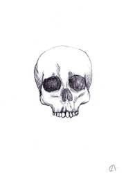 Skull