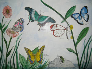 Butterflies for Maizie