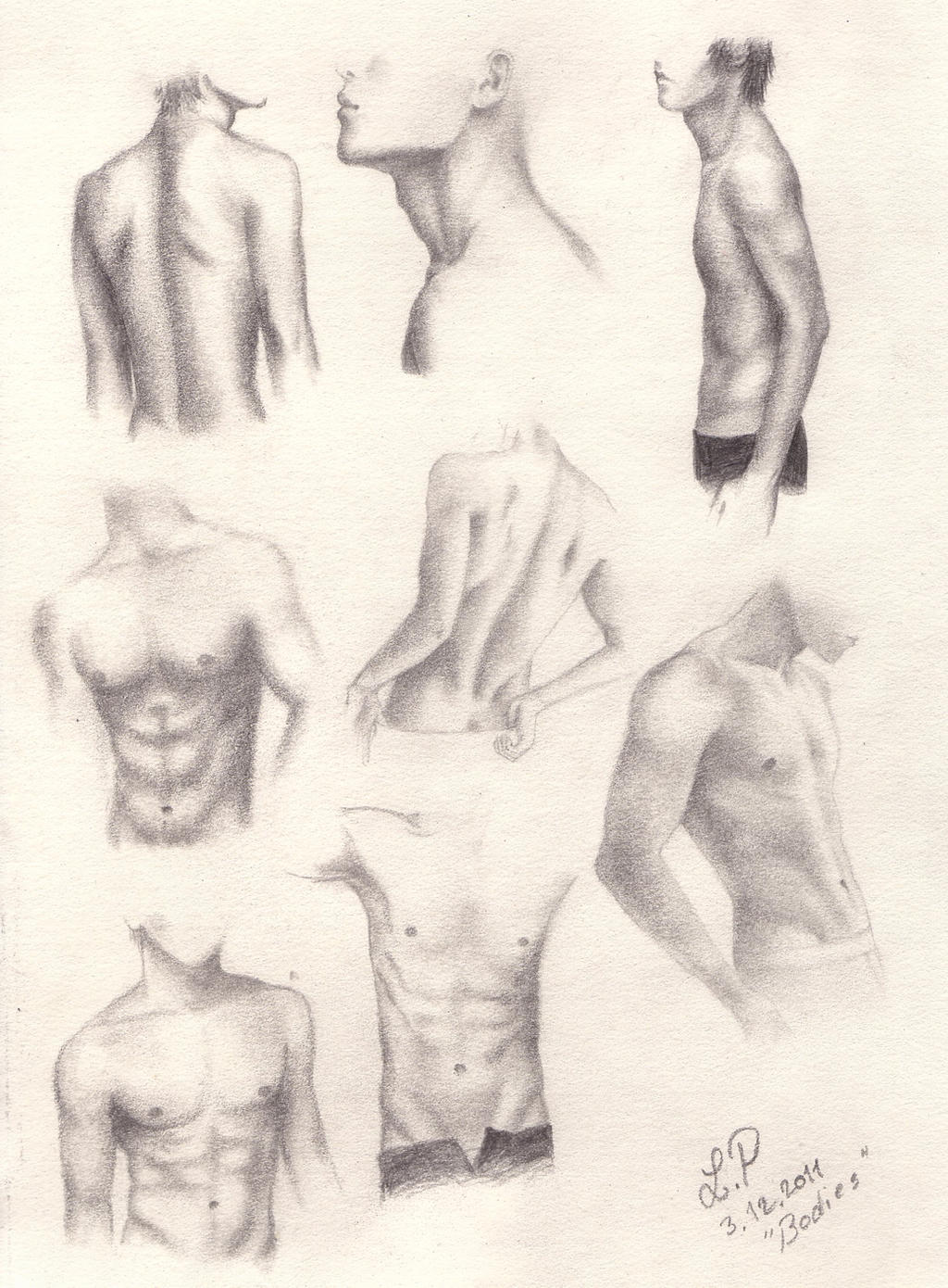 Bodies