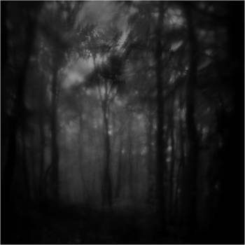 Soul of dark wood by ForrestBump