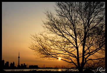 Toronto Sunrise..