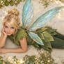 Tinker Bell - Peter Pan