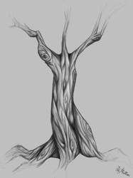 Tree Sketch