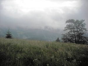 Romanian Mountains