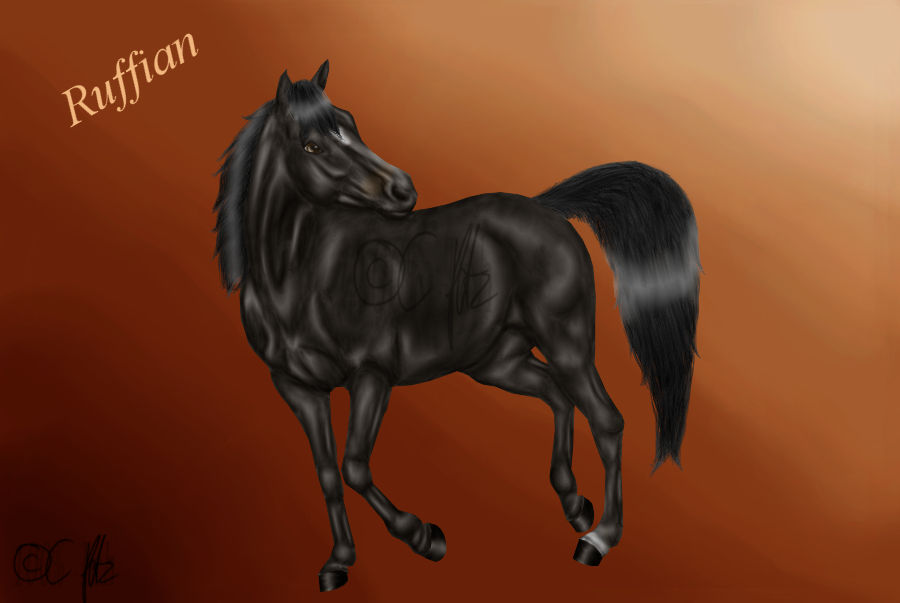 Ruffian the wondermare by MissOffensichtlich on DeviantArt