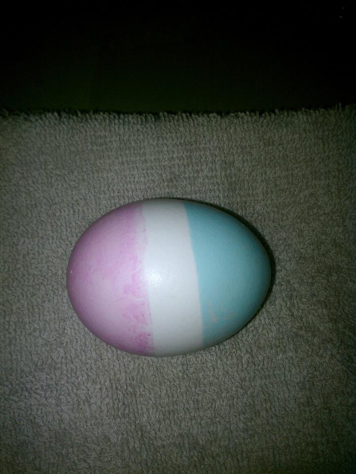 Transgender Egg