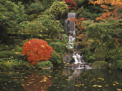 Japanese Garden Falls