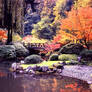 Japanese Garden in Autumn 2