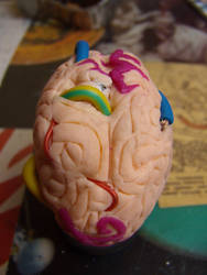 brain brain brain