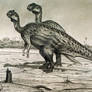 Kritosaurus notabilis